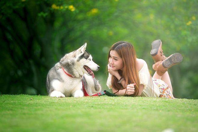 链分析：现状、痛点、需求、趋势AG真人平台宠物食品行业产业