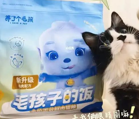 粮！三只松鼠靠什么重返宠物食品赛道AG真人国际厅零食巨头盯上毛孩子口